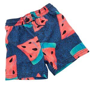 Tea Collection Boys 18-24 Months Watermelon Print‎ Swim Trunks